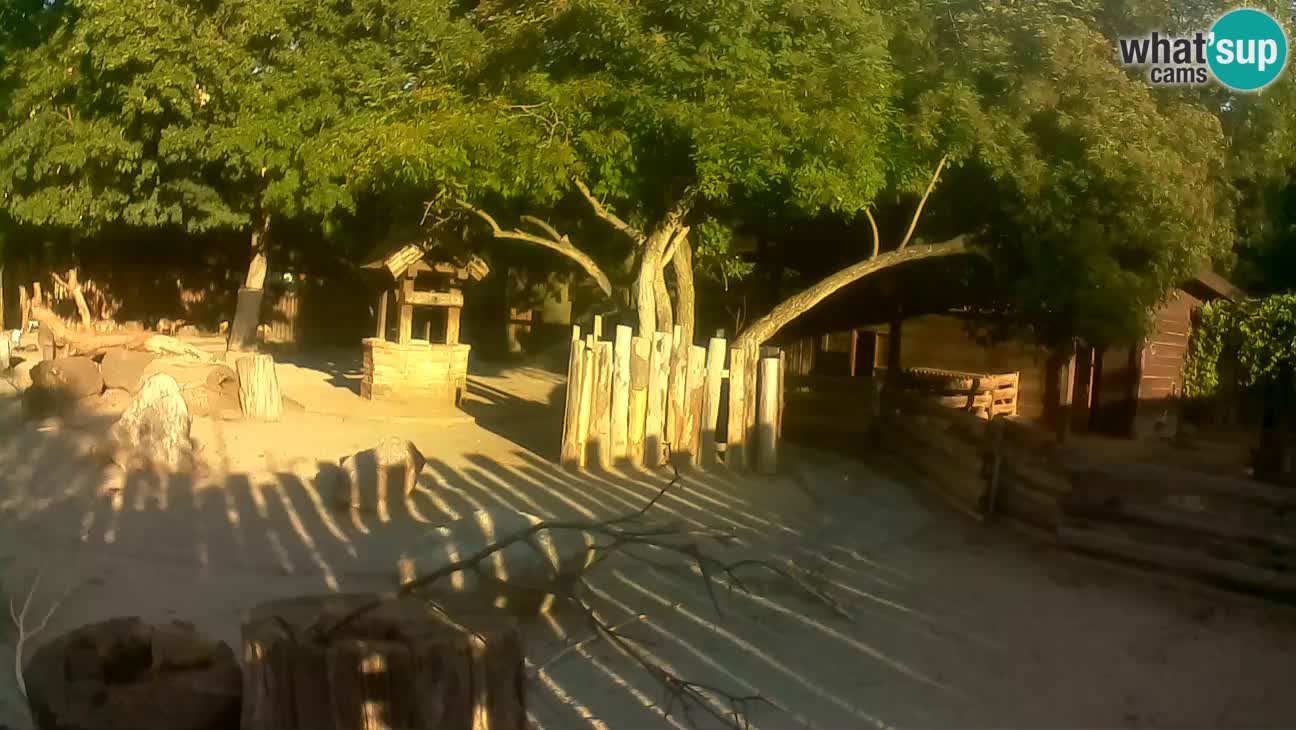 Zoo Zagreb –  Mono maicero