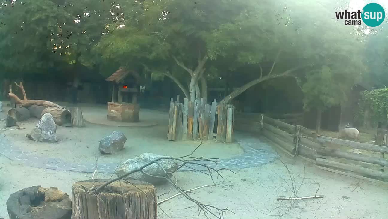 Zoo Zagreb – Cebo dai cornetti