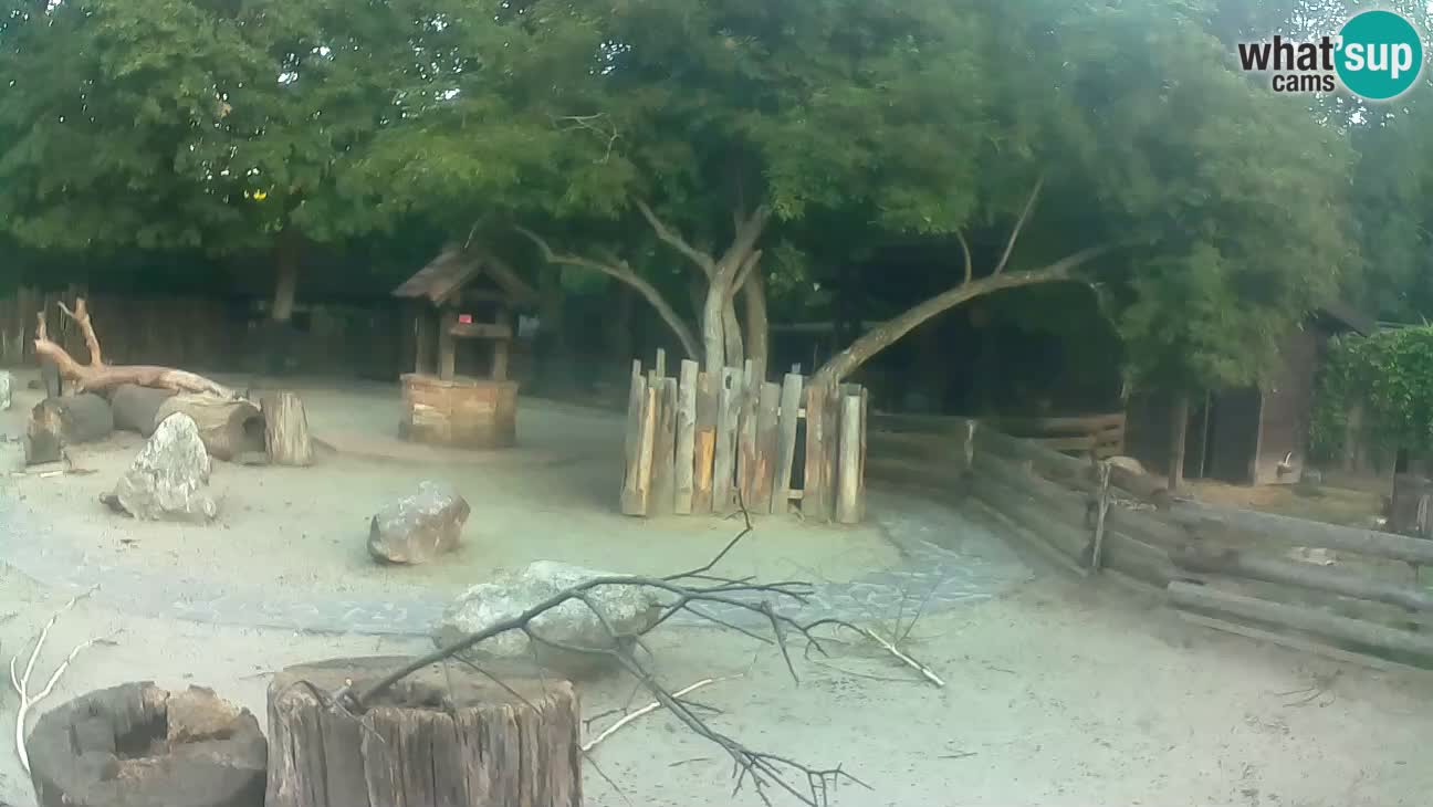 Zoo Zagreb – Cebo dai cornetti