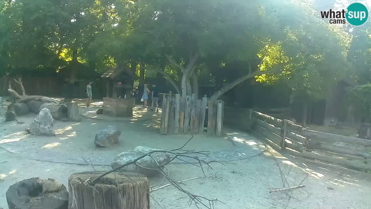 Zoo Zagreb – Cebo dai cornetti