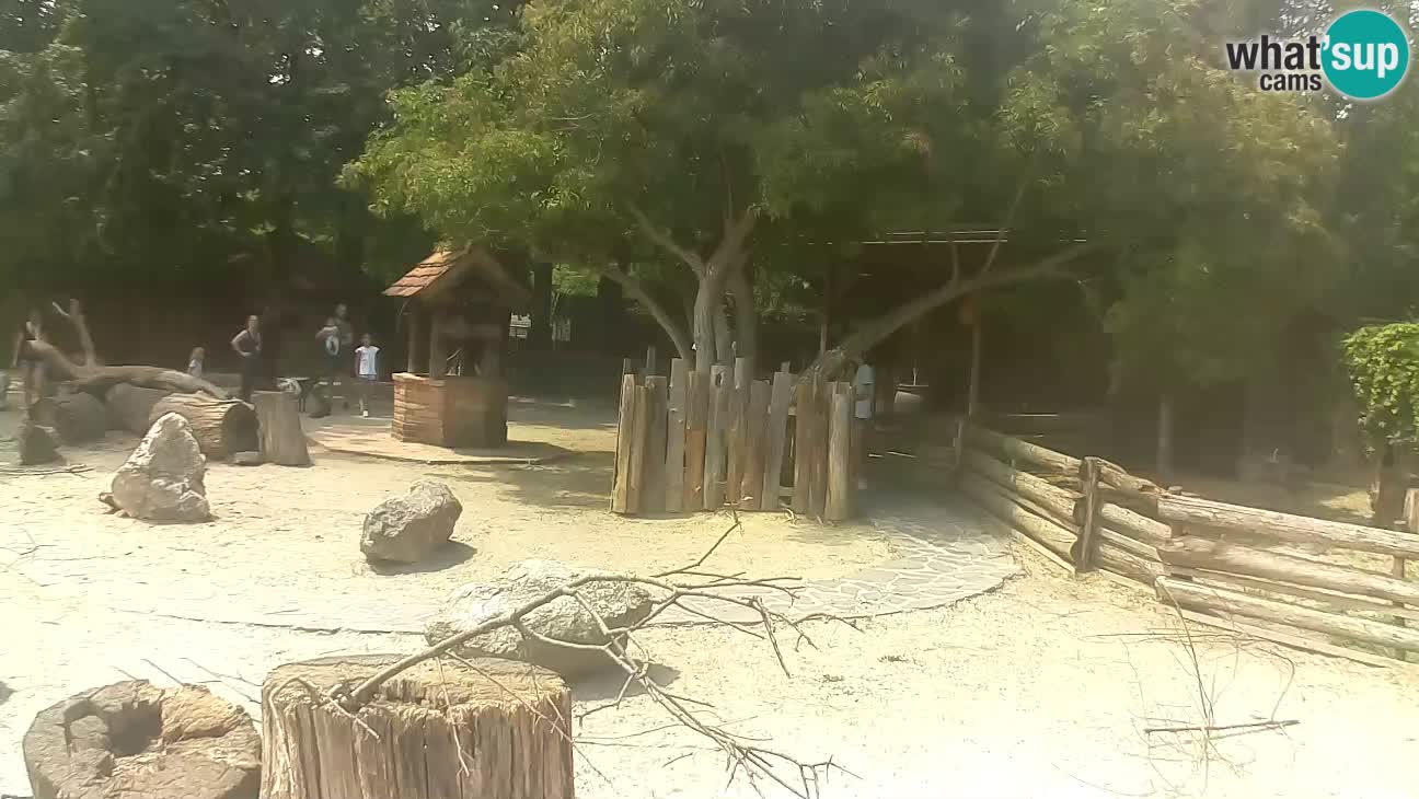 Zoo Zagreb – Cebo dai cornetti