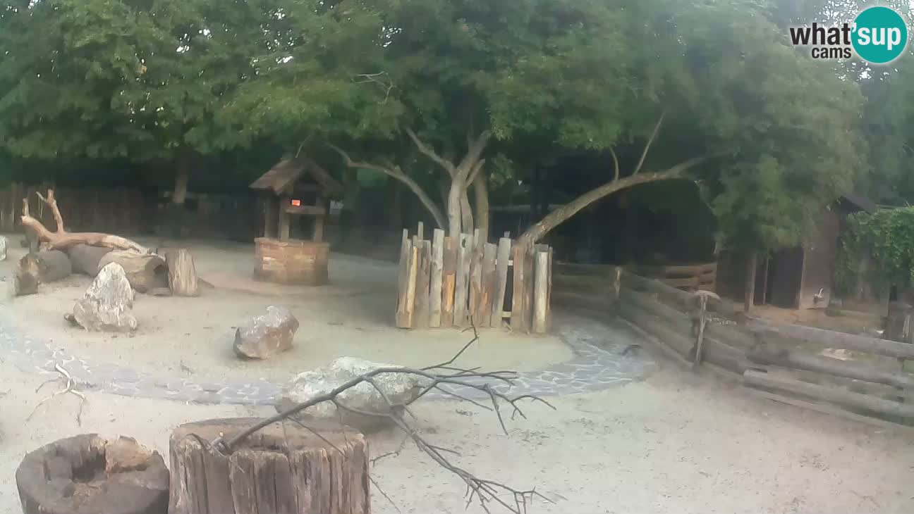 Zoo Zagreb – Cebo dai cornetti