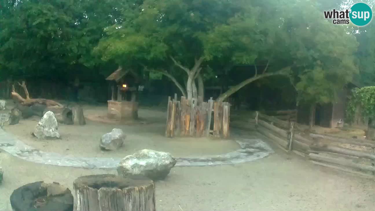 Zoo Zagreb – Cebo dai cornetti