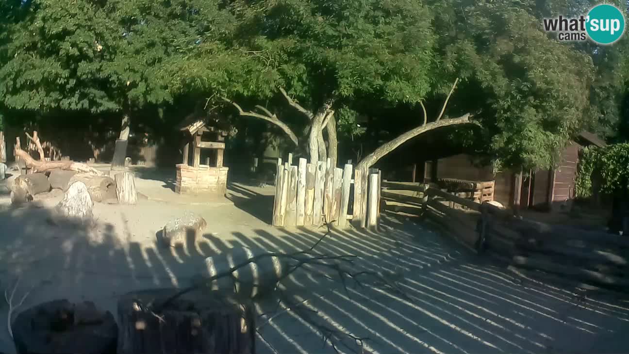 Zoo Zagreb – Cebo dai cornetti