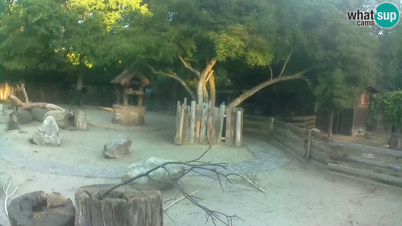 Zoo Zagreb – Haubenkapuziner