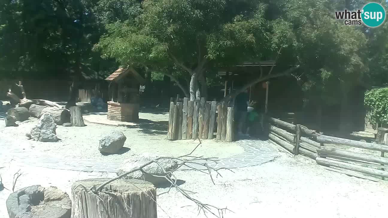 Zoo Zagreb – Cebo dai cornetti