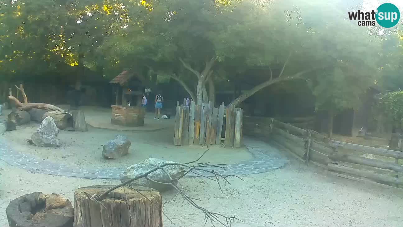 Zoo Zagreb – Cebo dai cornetti