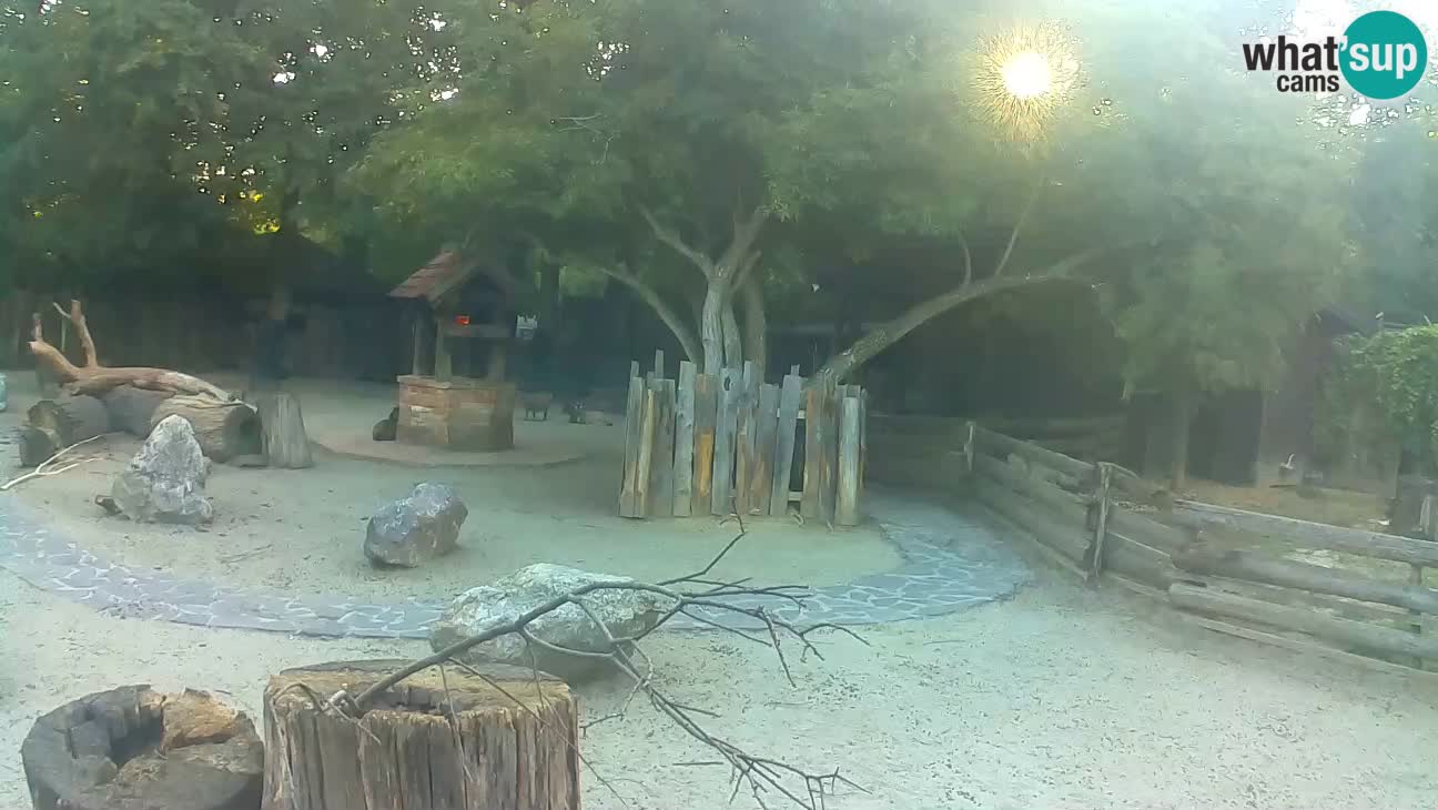 Zoo Zagreb –  Mono maicero