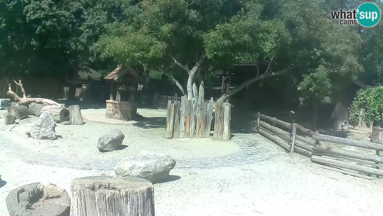Zoo Zagreb – Cebo dai cornetti