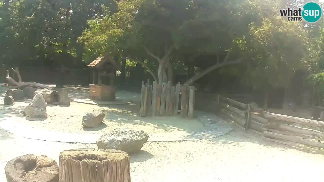 Zoo Zagreb – Cebo dai cornetti