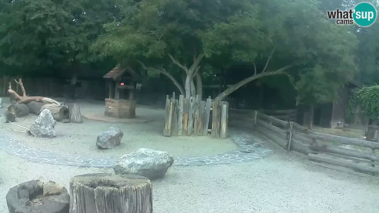Zoo Zagreb – Cebo dai cornetti