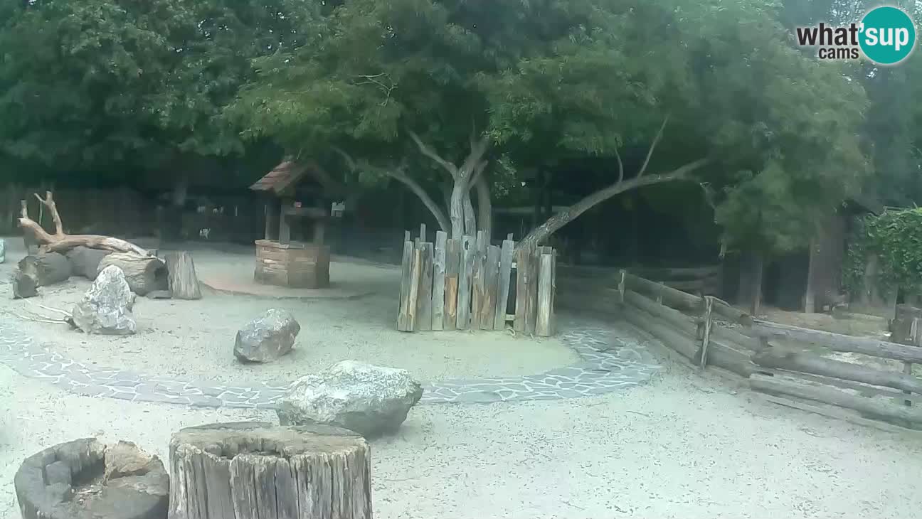 Zoo Zagreb –  Mono maicero
