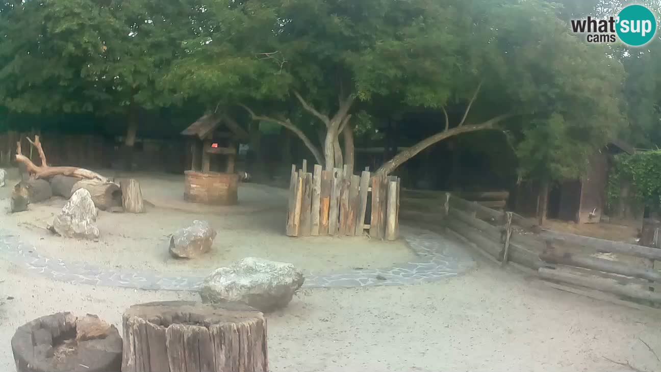 Zoo Zagreb –  Mono maicero