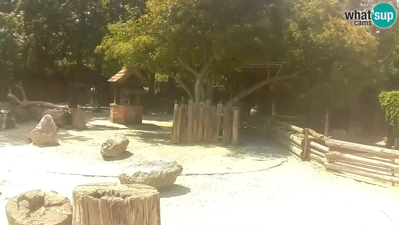 Zoo Zagreb – Cebo dai cornetti