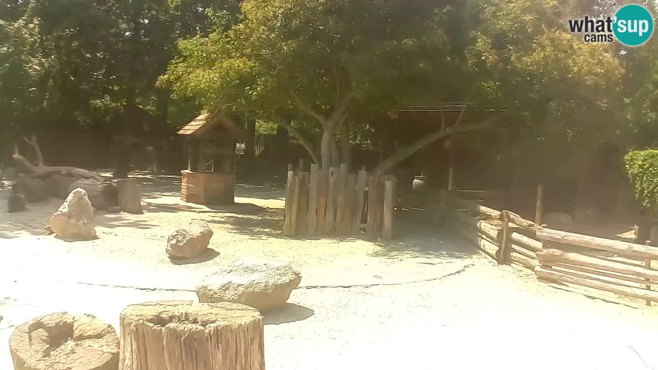 Zoo Zagreb –  Mono maicero