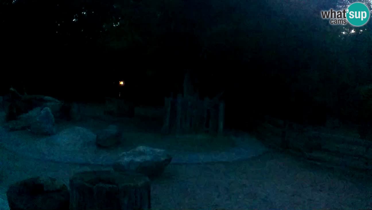 Zoo Zagreb –  Mono maicero