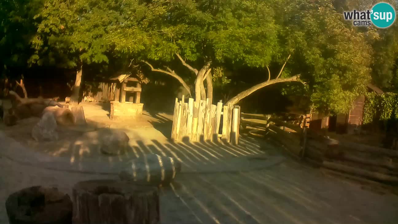 Zoo Zagreb – Haubenkapuziner