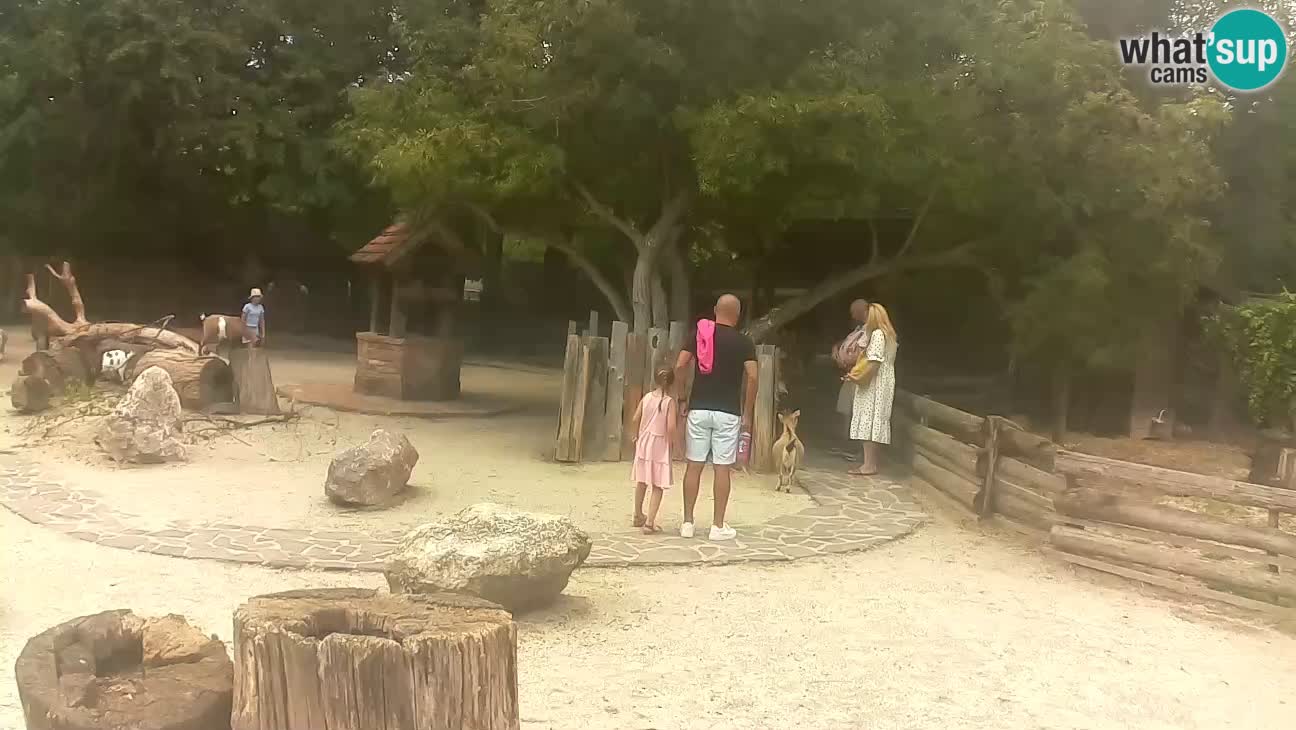 Zoo Zagreb –  Mono maicero