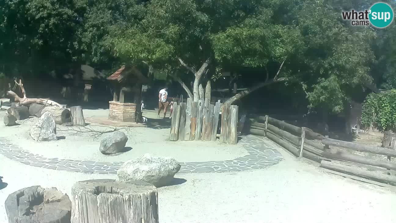 Zoo Zagreb – Cebo dai cornetti