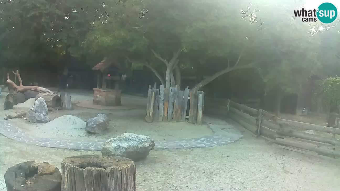 Zoo Zagreb –  Mono maicero