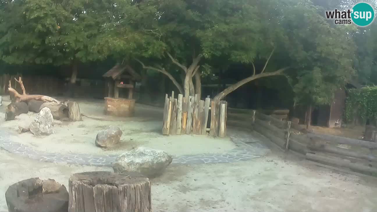 Zoo Zagreb – Cebo dai cornetti