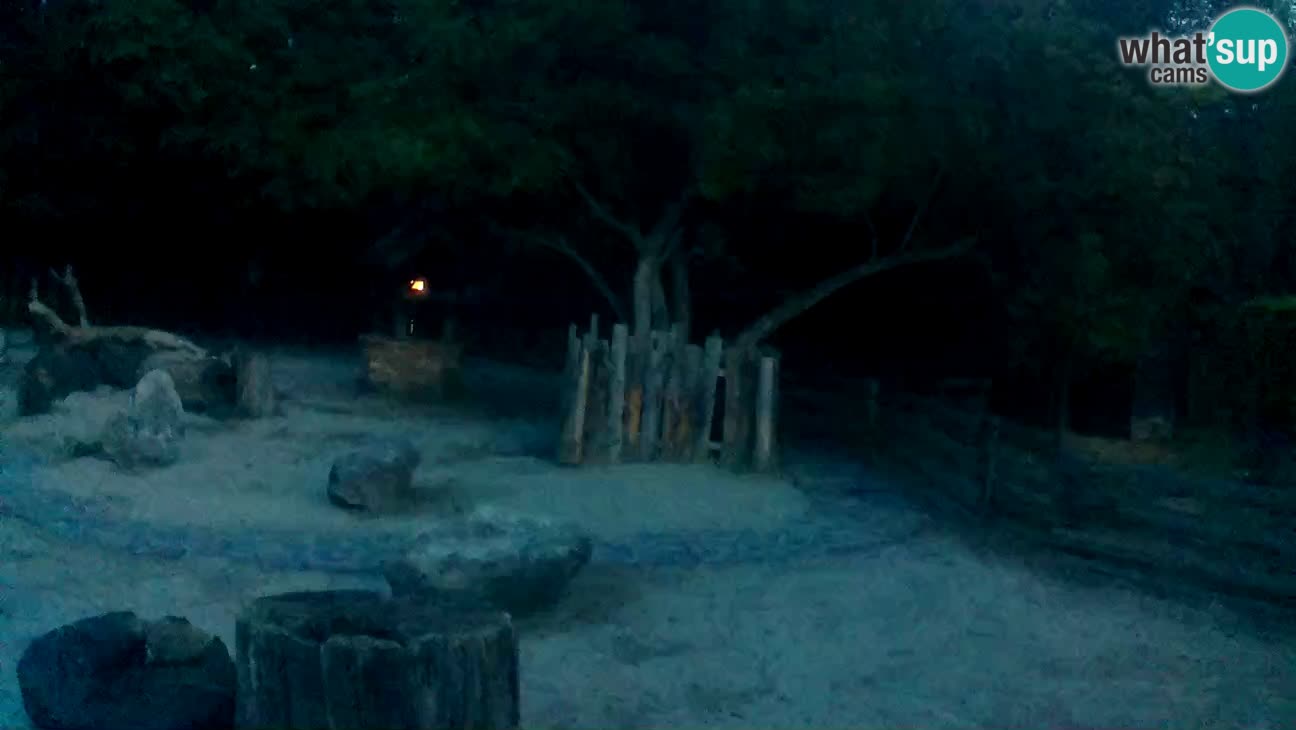 Zoo Zagreb –  Mono maicero