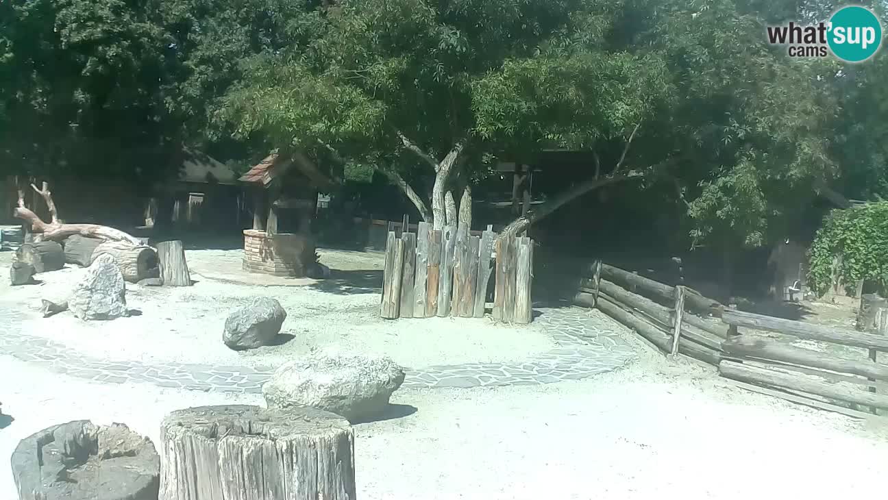 Zoo Zagreb – Cebo dai cornetti
