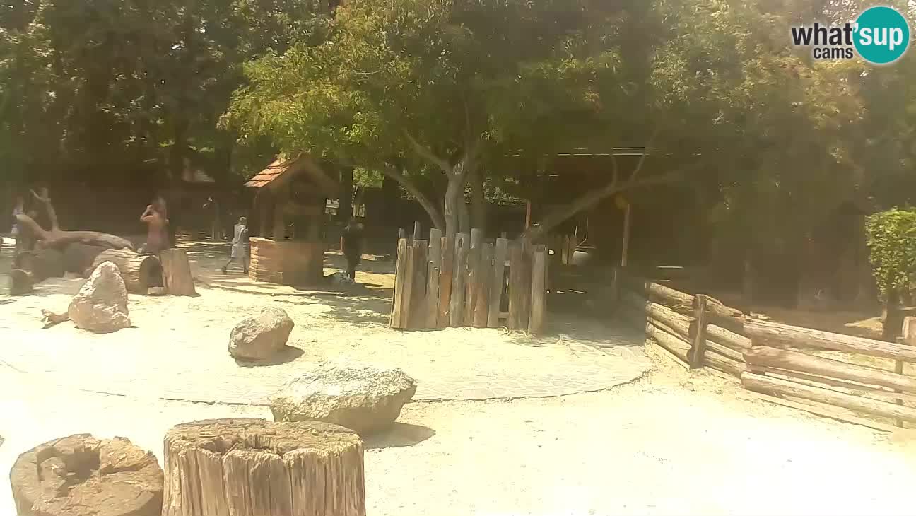 Zoo Zagreb – Haubenkapuziner