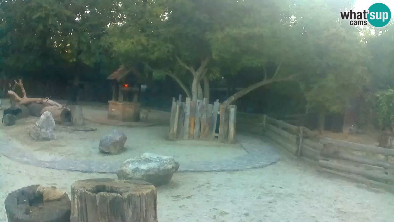 Zoo Zagreb – Cebo dai cornetti