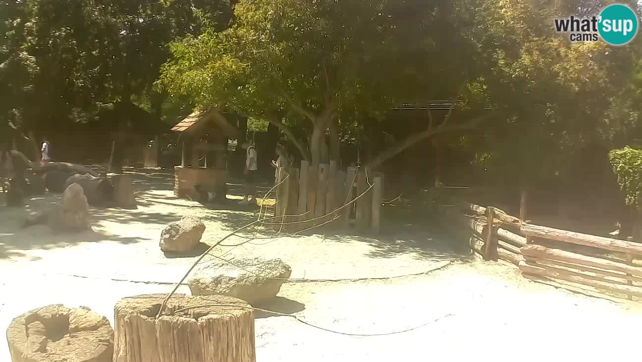 Zoo Zagreb – Cebo dai cornetti