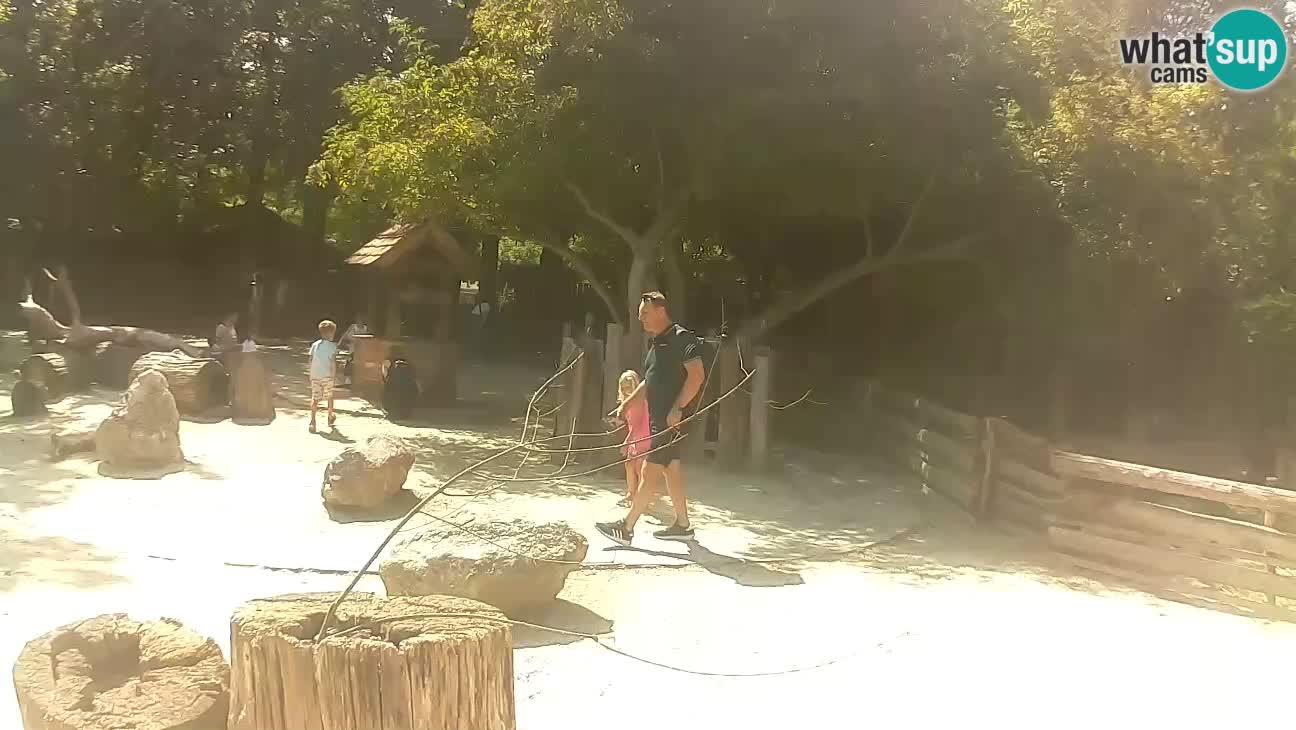 Zoo Zagreb – Haubenkapuziner