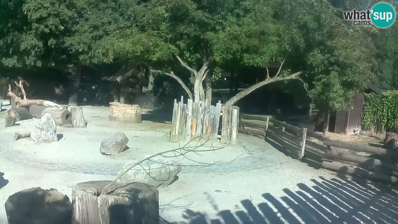 Zoo Zagreb –  Mono maicero