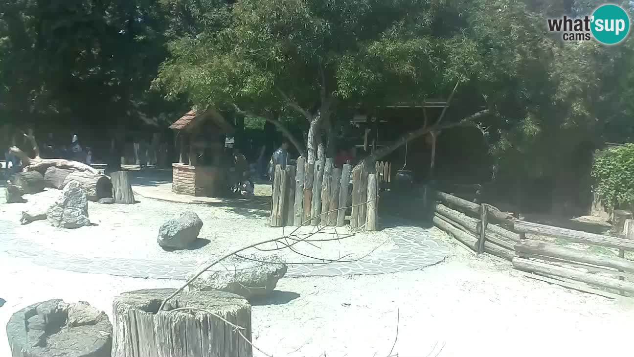 Zoo Zagreb – Haubenkapuziner