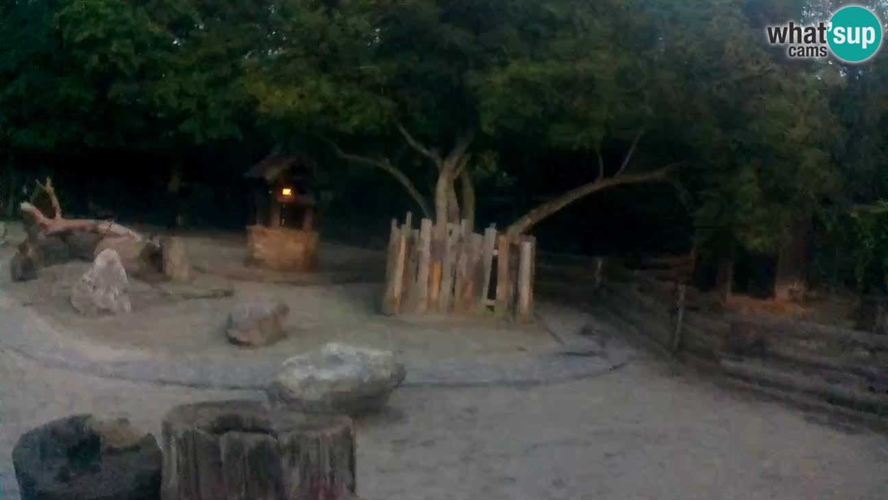 Zoo Zagreb –  Mono maicero