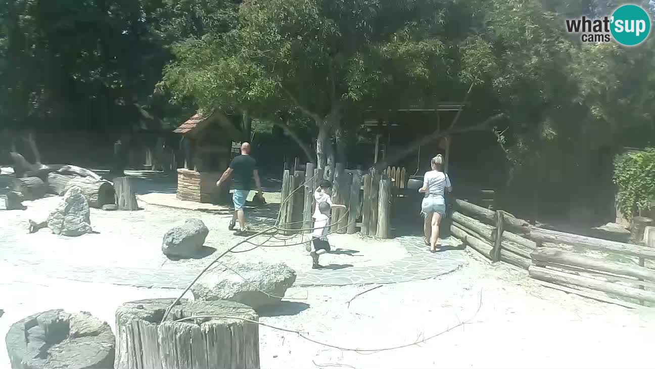 Zoo Zagreb – Cebo dai cornetti