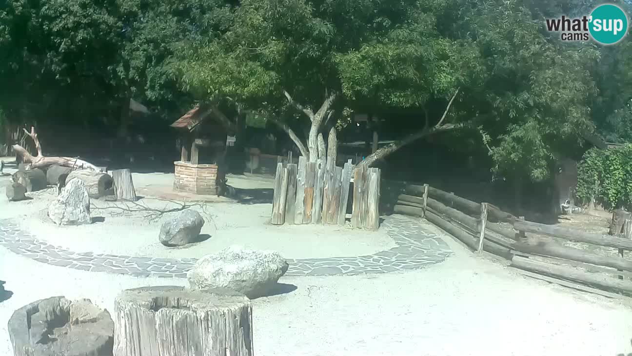 Zoo Zagreb – Cebo dai cornetti
