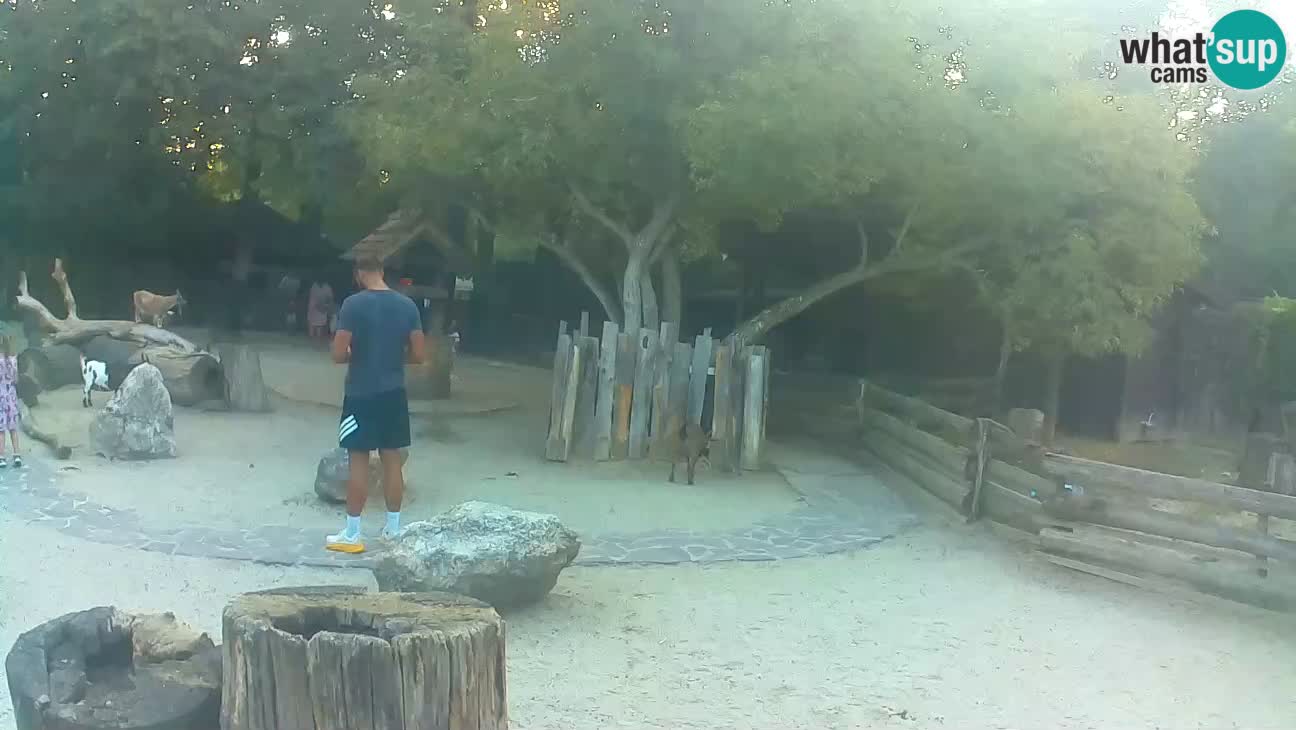 Zoo Zagreb –  Mono maicero