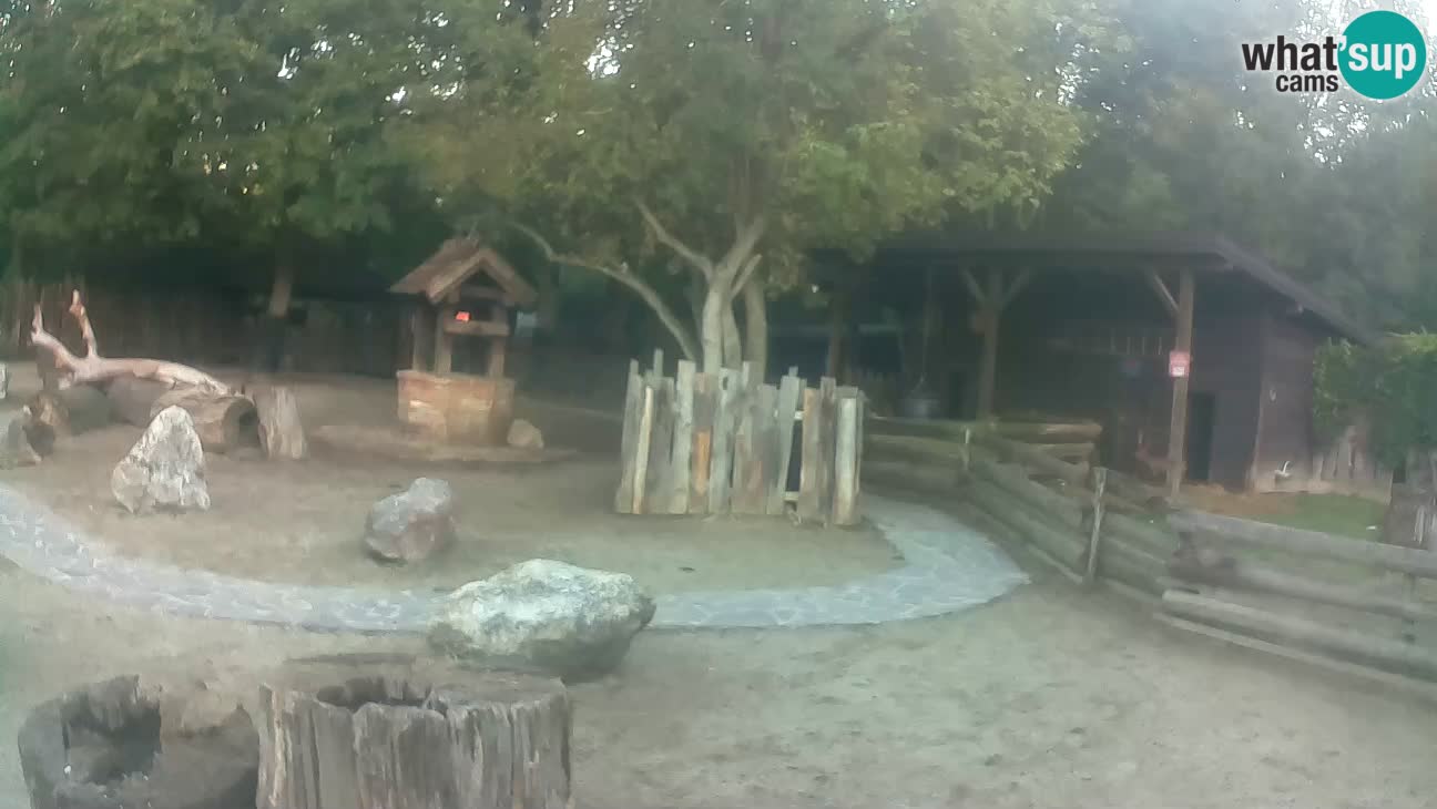 Zoo Zagreb – Haubenkapuziner