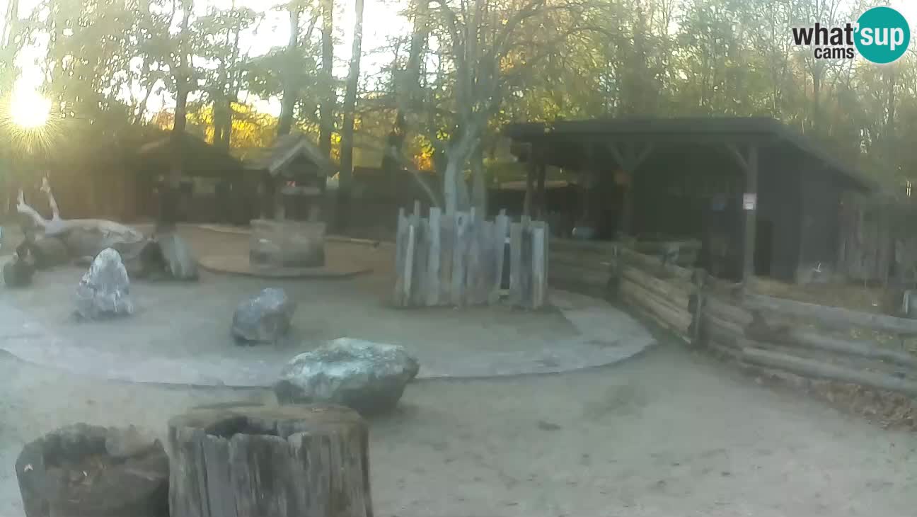 Zoo Zagreb – Cebo dai cornetti