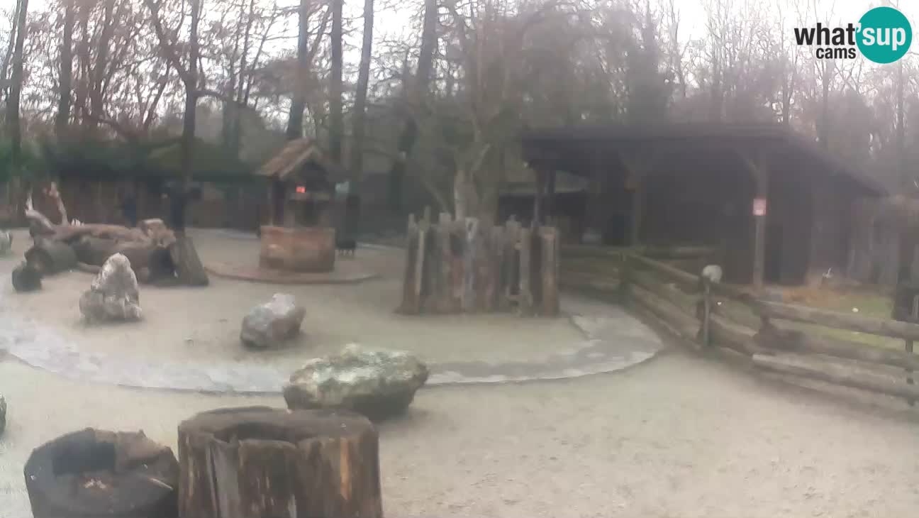 Zoo Zagreb – Cebo dai cornetti