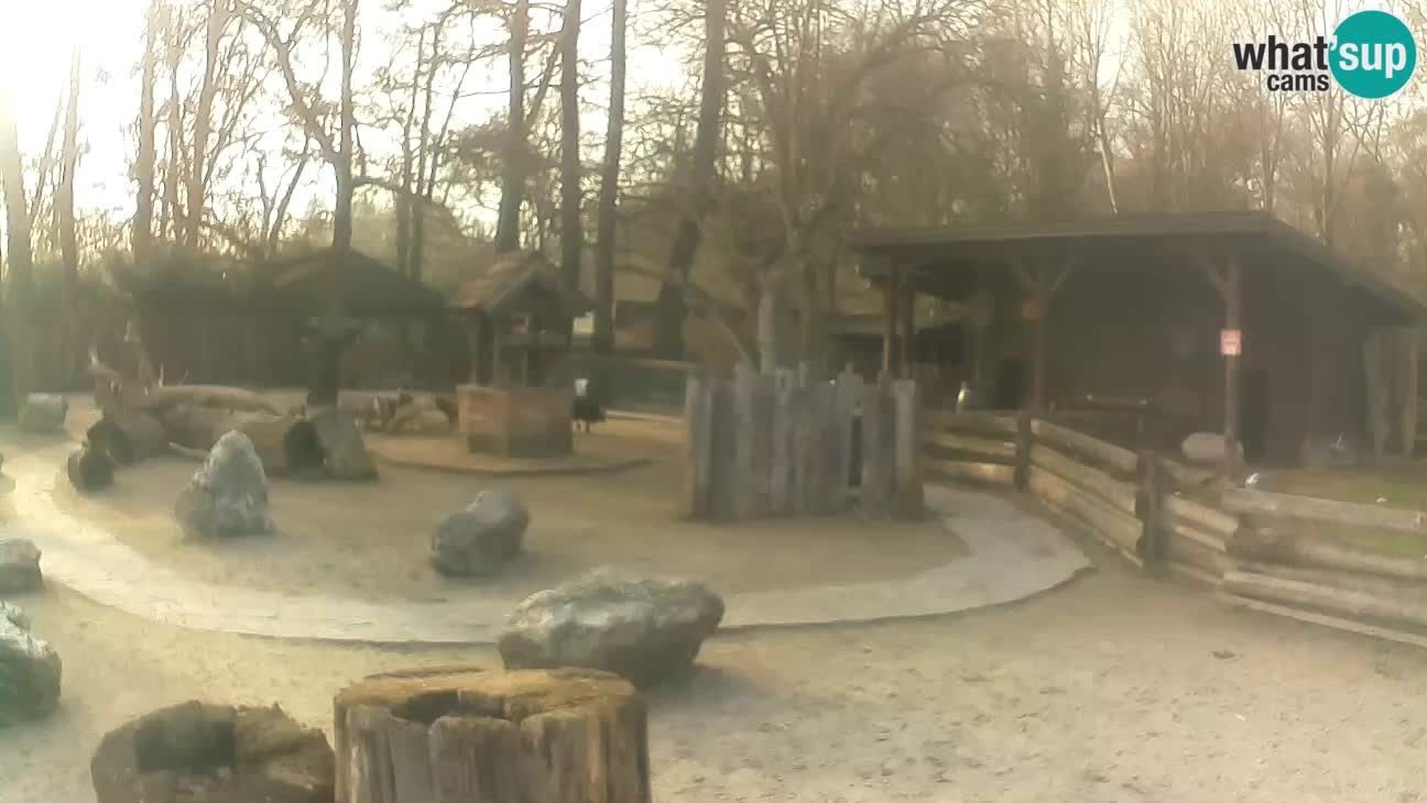 Zoo Zagreb – Cebo dai cornetti