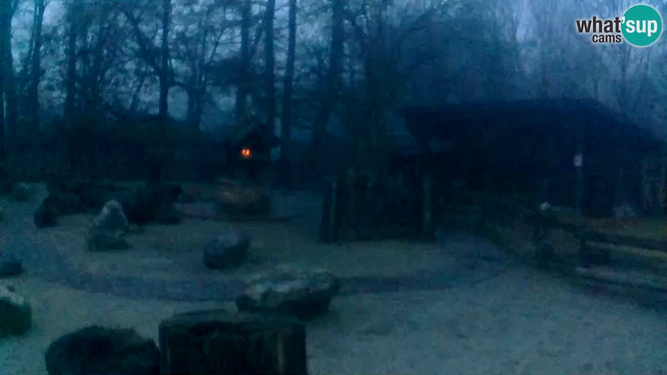 Zoo Zagreb –  Mono maicero