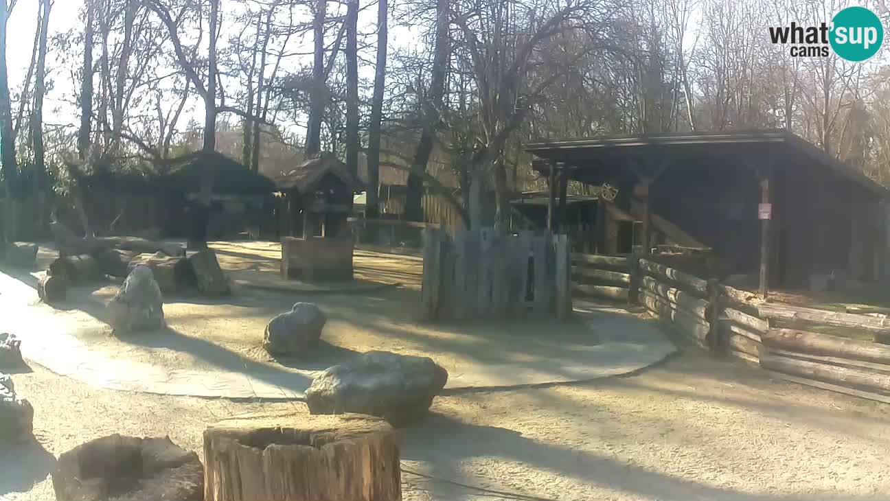 Zoo Zagreb – Cebo dai cornetti