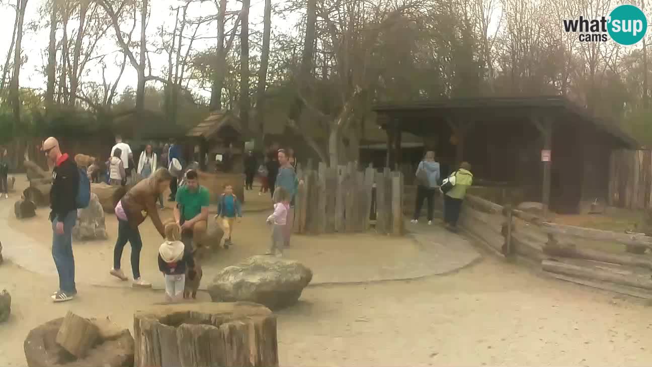 Zoo Zagreb – Haubenkapuziner