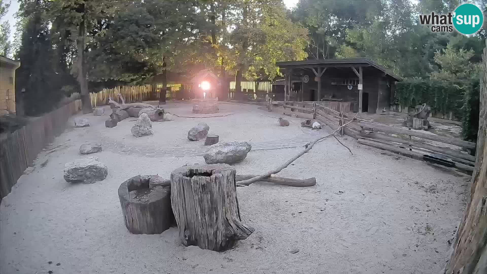 Zoo Zagreb – Haubenkapuziner