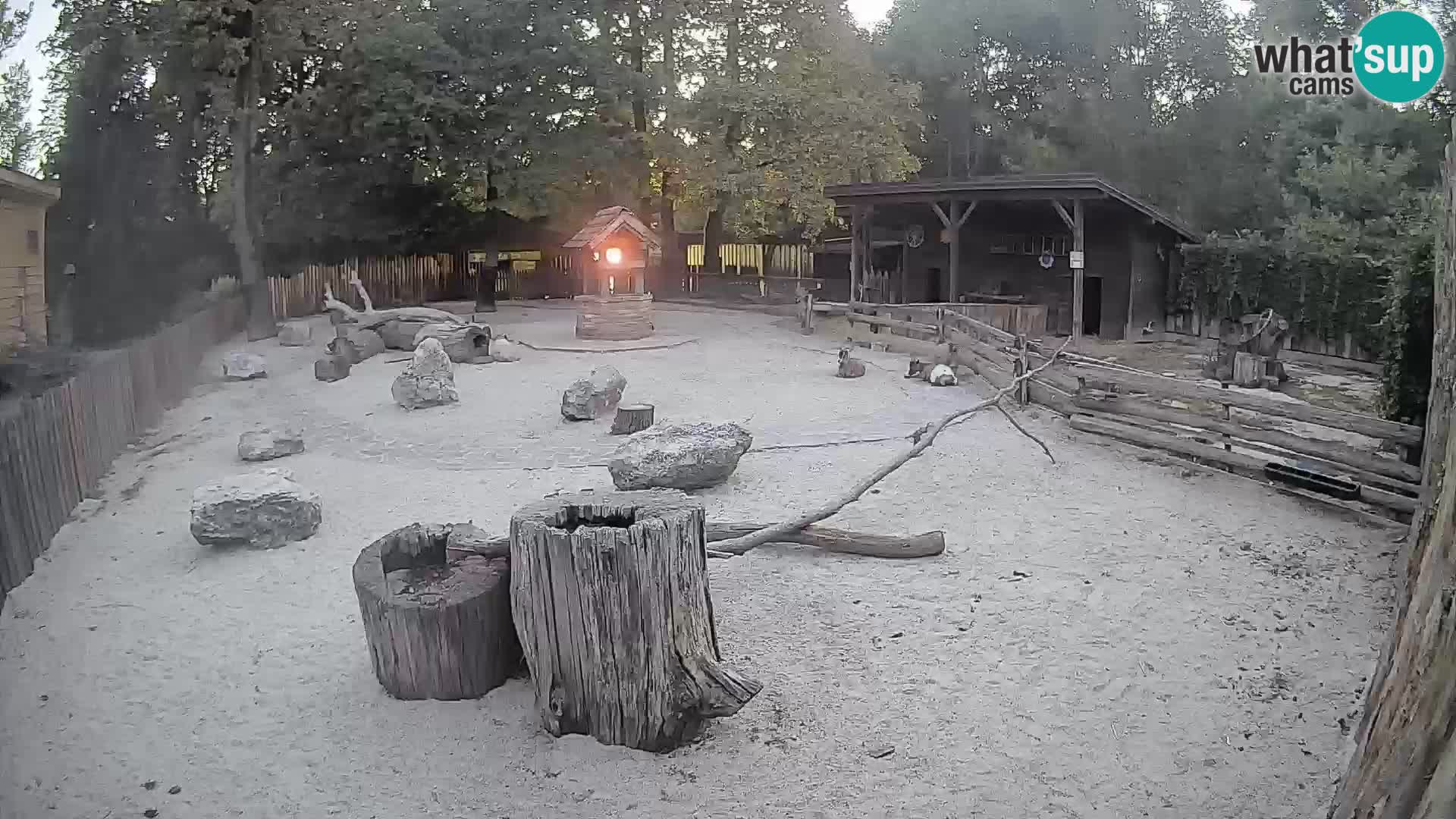 Zoo Zagreb –  Mono maicero