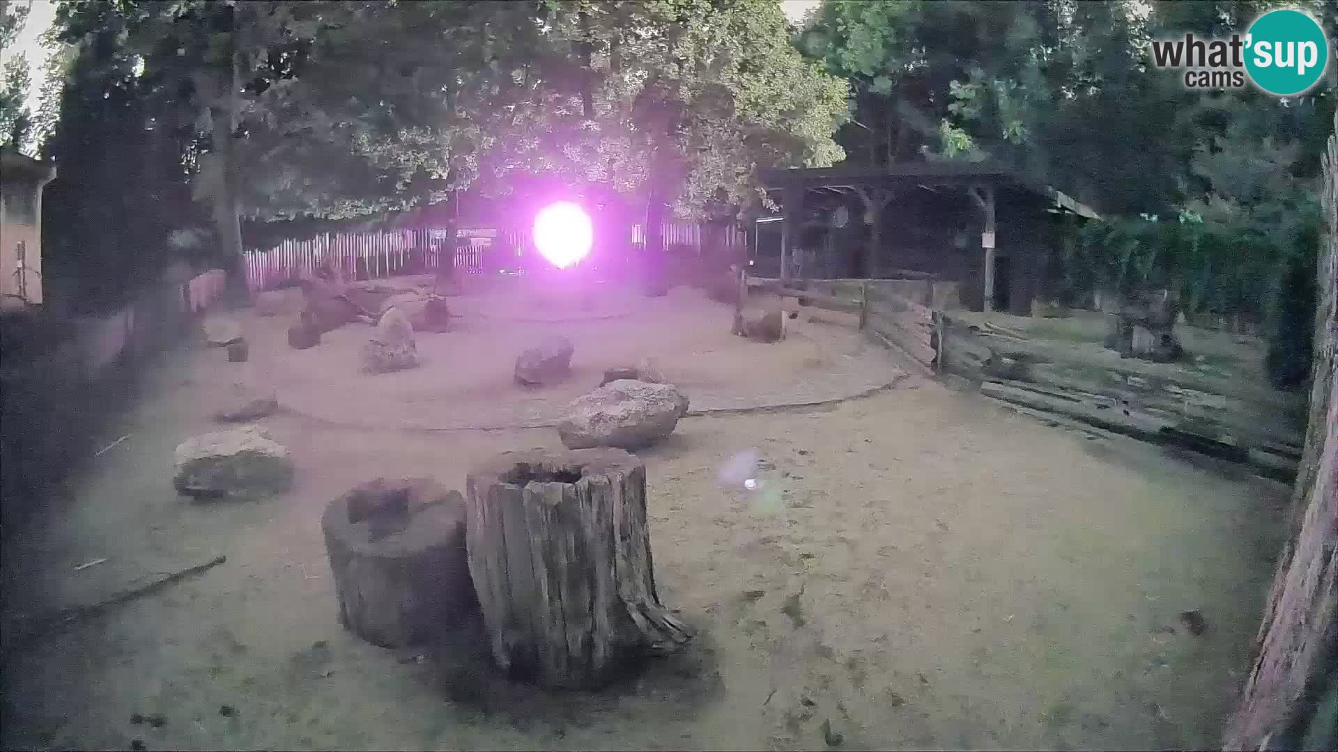 Zoo Zagreb – Haubenkapuziner
