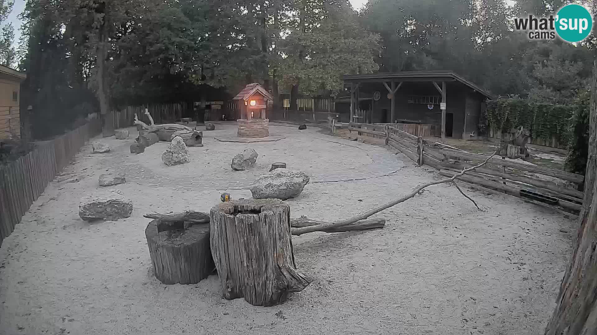 Zoo Zagreb –  Mono maicero