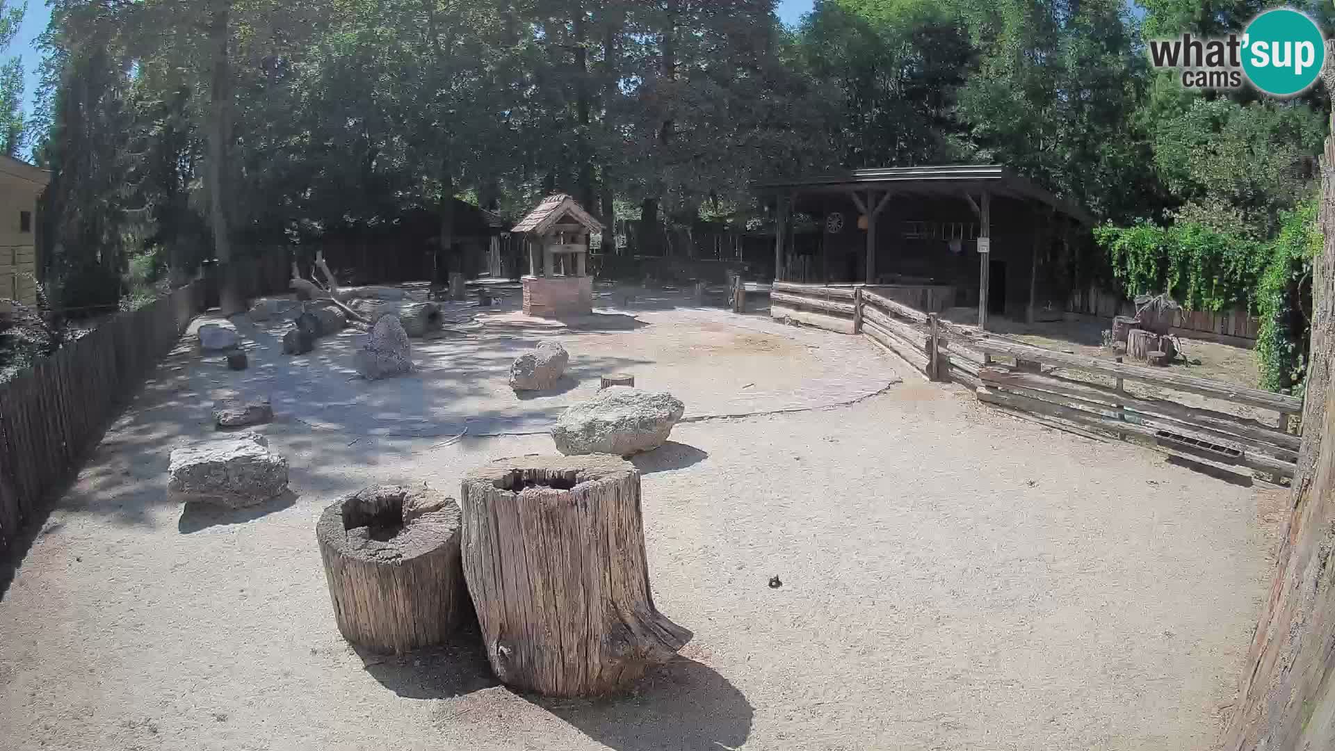 Zoo Zagreb – Cebo dai cornetti
