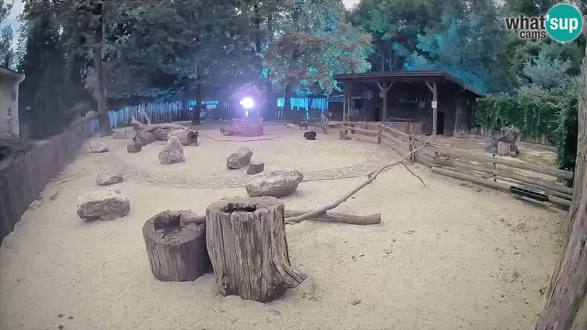 Zoo Zagreb – Cebo dai cornetti